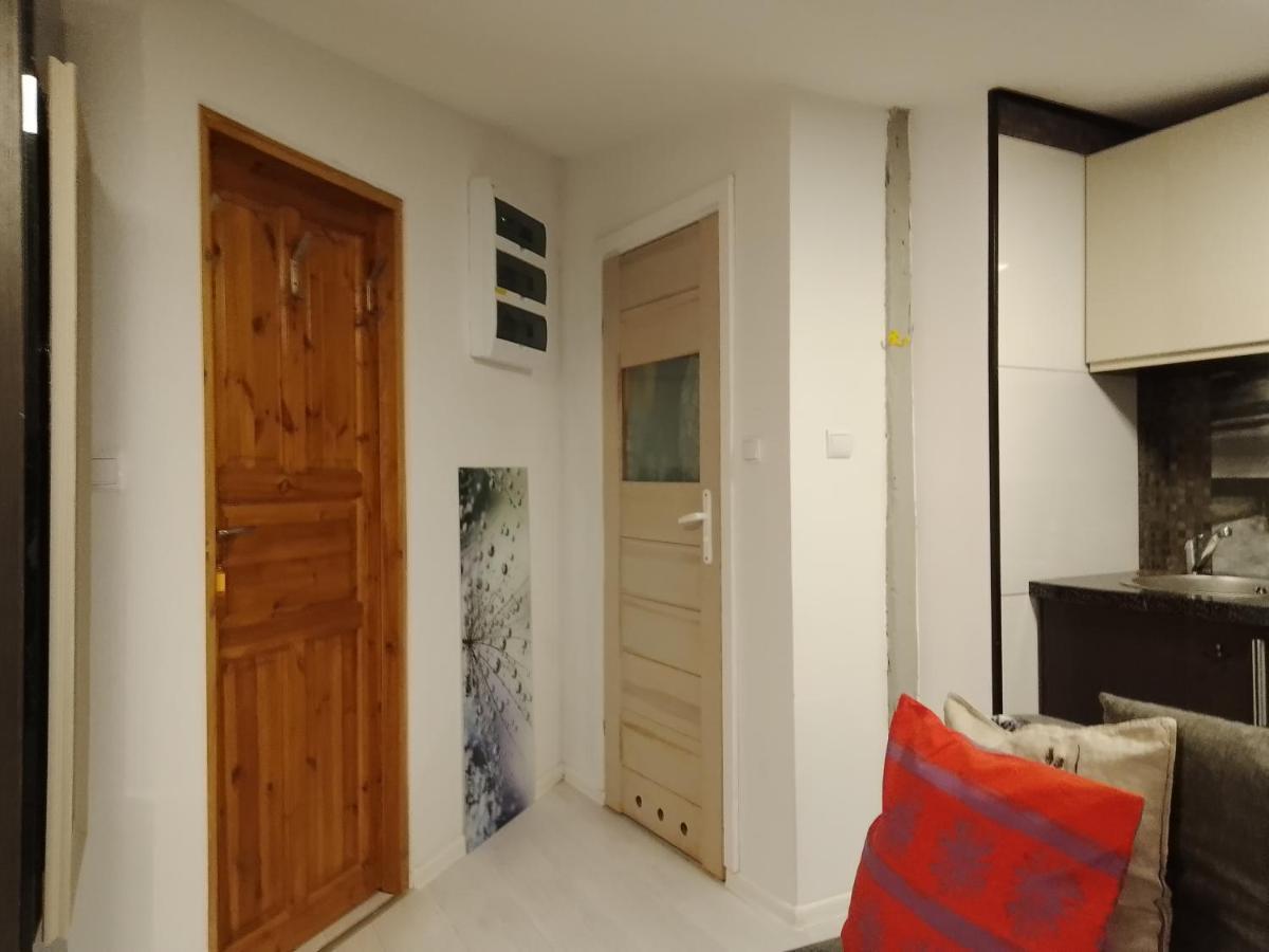 Beautiful Apartment Stary Toruń エクステリア 写真
