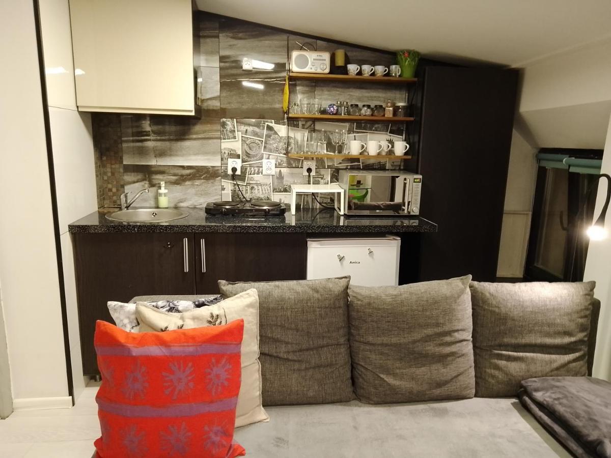 Beautiful Apartment Stary Toruń エクステリア 写真