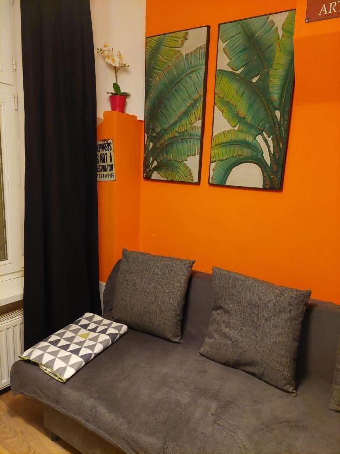 Beautiful Apartment Stary Toruń 部屋 写真